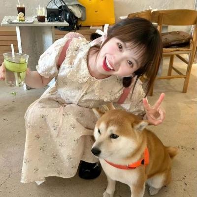 机械公敌
